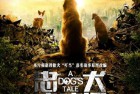 [电影] 2021年国产冒险片《忠犬流浪记》HD国语中英双字