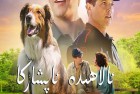 [电影] 2022年美国7.3分剧情儿童片《义犬救主》BD中英双字