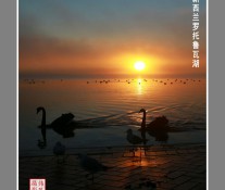 [美图] 飞往南半球(二)新西兰 摄影：吴伟民