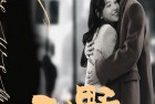 [电视剧] 2023年国产大陆电视剧《三分野》全32集