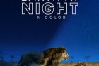 [纪录片] 2020纪录片《夜色中的地球 第二季》4K.HD中英双字