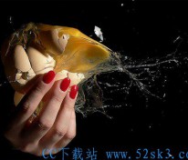 [美图] 毁灭之美：超越速度的惊艳瞬间震撼(组图)
