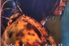 [电影] 动作《魔女1-2》1080p.韩语中字