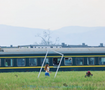 [摄影] 大理旅行，体验到松弛感了吗？快去看看风吹麦浪吧！