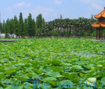  [风景] 玉林风景
