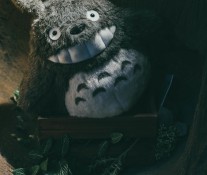 [摄影美拍] 嘿，龙猫