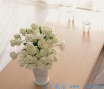 [美图] 家居插花