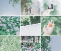 [美图] 夏天除了热，什么都好