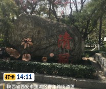 [摄影随拍] 踏春赏景正当时，莲湖公园随拍！要知道美是高级的善，所以创造美是最高级的乐趣！！