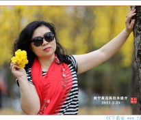 [美图] 花美！景美！人更美！???南宁黄花风铃木盛开。摄影:南宁·吴伟民  2021.2.25