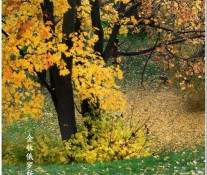 [美图]《俄罗斯》摄影:吴伟民